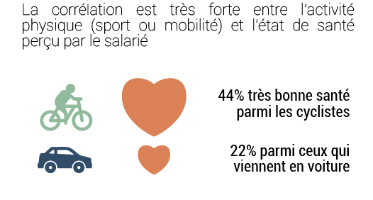 Coordination et évaluation du programme national MASSCE – Mobilité Active, Sport, Santé et Compétitivité des Entreprises